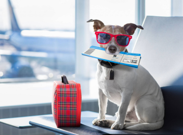 Is your pet travelling with you?